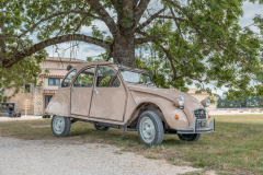 CHAMPÊTRE